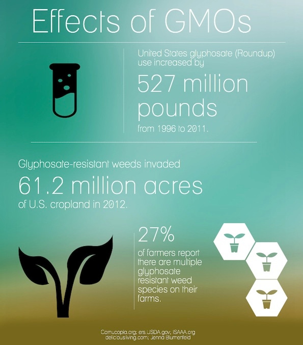 What you (and your customers) should know about GMOs