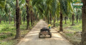 Daabon leads responsible palm oil