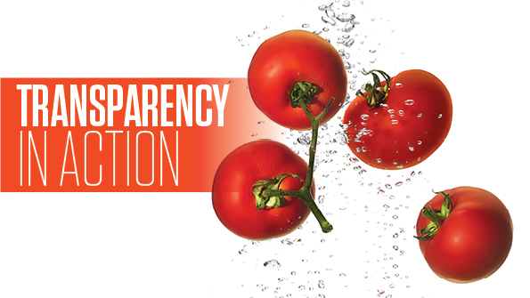 Transparency is a movement, not a fad