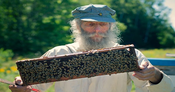 Burt Shavitz leaves behind a natural beauty legacy