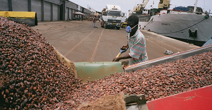 worker sorts cocoa bean on a dock in Ghana 