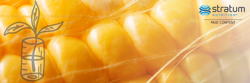 Stratum Nutrition's dedication to safety, traceability and sustainability is Feeding the Good Food Future Stratum Nutrition's dedication to safety, traceability and sustainability is Feeding the Good Food Future