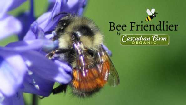 Cascadian Farm to plant 100,000 acres of pollinator habitat
