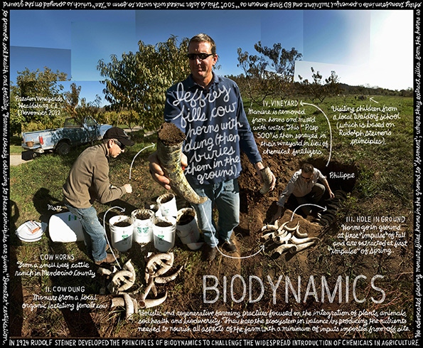 Watchword: Biodynamics