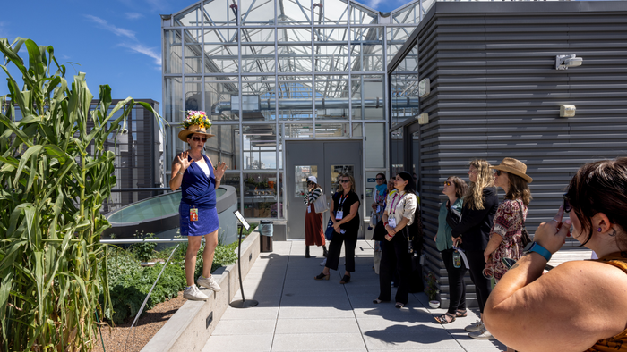 The rooftop garden at CSU Spur The rooftop garden at CSU Spur