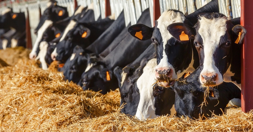 Organic Trade Association sues USDA over failure to advance organic livestock standards