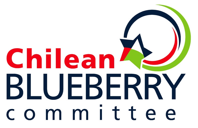 Chilean blueberry exports on the rise