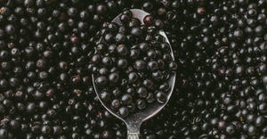 elderberry-spoon.jpg