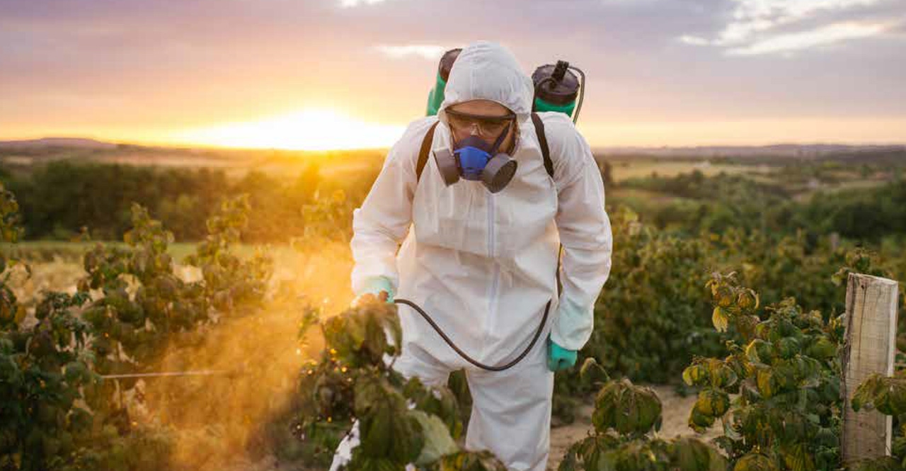 Farmworkers' health at greater risk from chemicals but organic practices can help, new Organic Center report shows