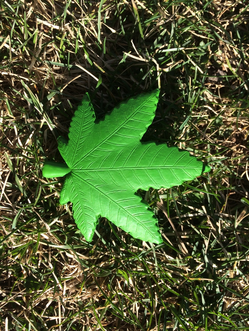 Hemp—no, not pot, not CBD, not cannabis, not quite—hemp for victory