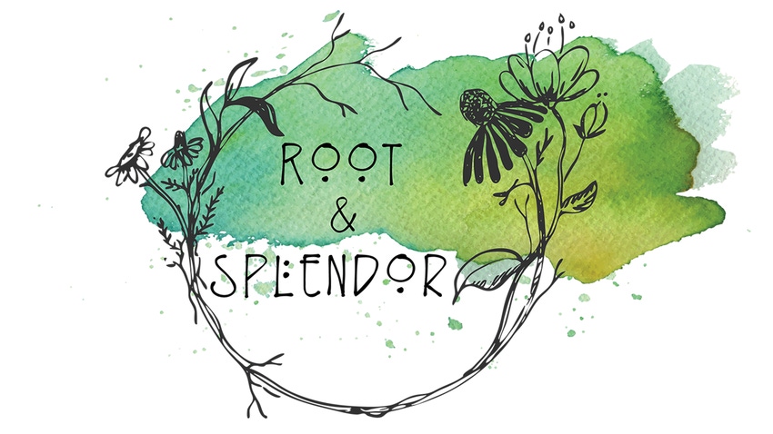 Root & Splendor, founded in 2019, offers handcrafted natural, nontoxic, eco-friendly laundry essentials and other home goods Root & Splendor, founded in 2019, offers handcrafted natural, nontoxic, eco-friendly laundry essentials and other home goods