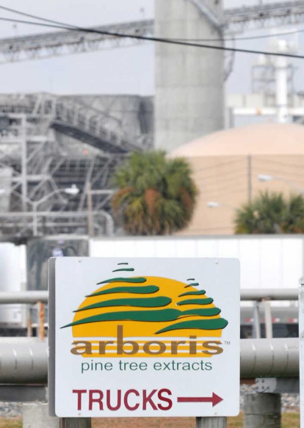 Arboris brings non-GMO plant sterols to North America