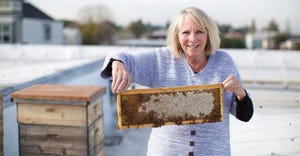 California retailer harvests hyper-local honey