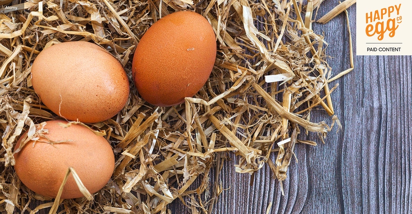 NHN23_Happy-Egg_Feature_1540x800_0.jpg NHN23_Happy-Egg_Feature_1540x800_0.jpg