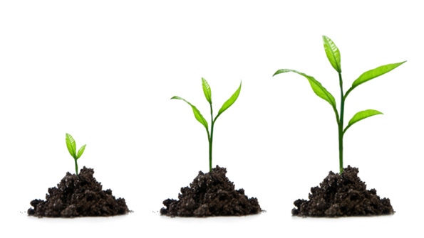 U.S. nutricosmetics market offers tremendous growth potential U.S. nutricosmetics market offers tremendous growth potential