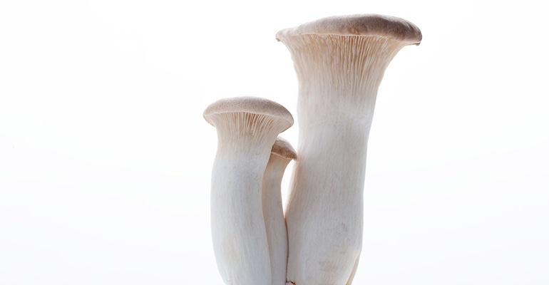 Mushrooms hit the mainstream, but can they stay?