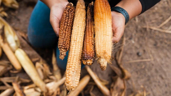 Bidii Baby Foods gives Navajo children food they ‘are yearning for’ Credit: Bidii Baby Foods