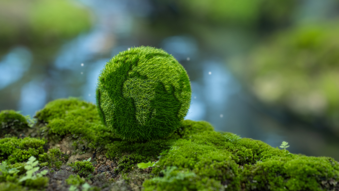 The tale of the little fish that dared to swim in a big pond