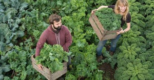 From the ground up: Organic industry supports climate, sustainability