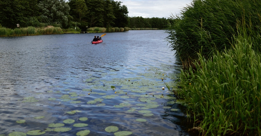 Framework for rewilding might help projects succeed Framework for rewilding might help projects succeed