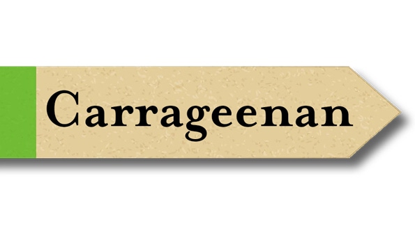 Is carrageenan natural?