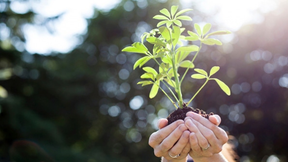 5@5: Blue Hill co-owner launches $30M food investment fund | Ex-Whole Foods CEO: Amazon acquisition was best way forward 5@5: Blue Hill co-owner launches $30M food investment fund | Ex-Whole Foods CEO: Amazon acquisition was best way forward