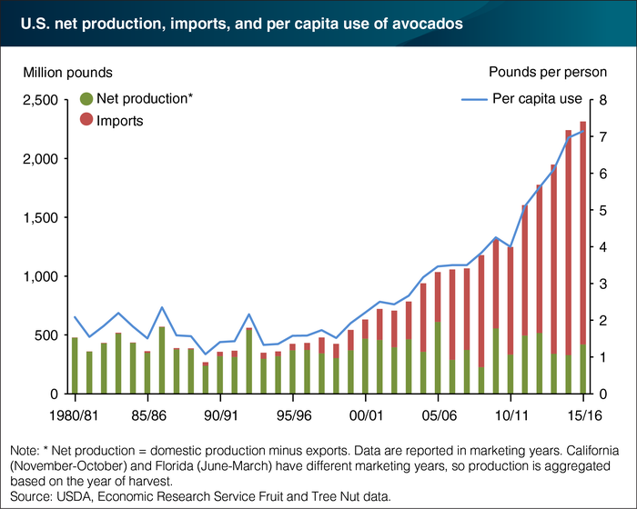 avocado_USDAGRAPH.png
