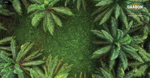 American palm oil: A sustainable, versatile oil for the future American palm oil: A sustainable, versatile oil for the future