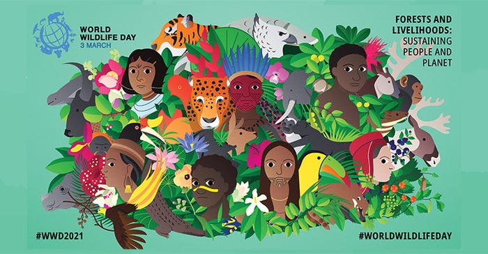 World Wildlife Day celebrates forests and the people they support