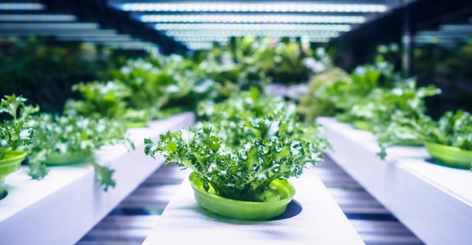 5@5: USDA fights organic fraud | Is indoor farming the future?
