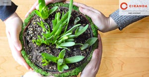 What’s in a sustainability impact report? What’s in a sustainability impact report?