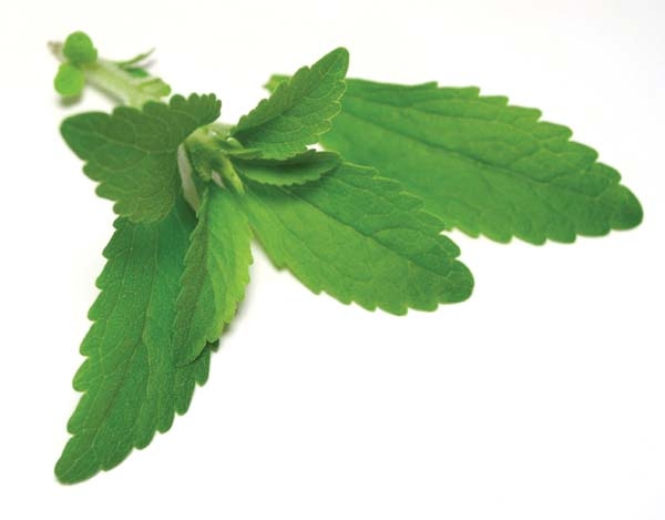 MycoTechnology, Nascent partner on bitter-free stevia