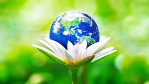 planet Earth resting in a flower with a green background