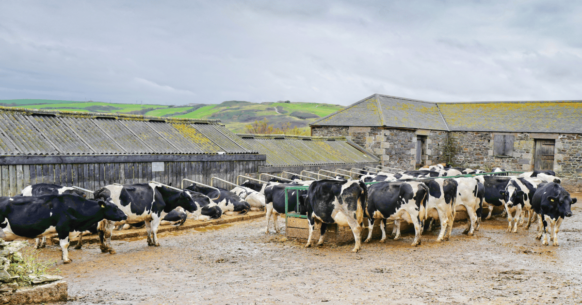 USDA organic dairy promotion opens schools to small organic dairies USDA organic dairy promotion opens schools to small organic dairies