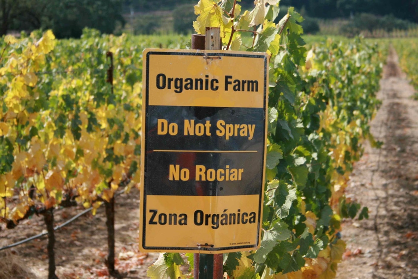 Organic farms support more species