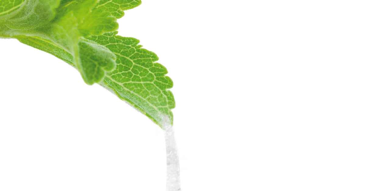 Stevia Accounts For 25 Of New Global Launches Up From 4 The Previous stevia-accounts-for-25-of-new-global-launches-up-from-4-the-previous