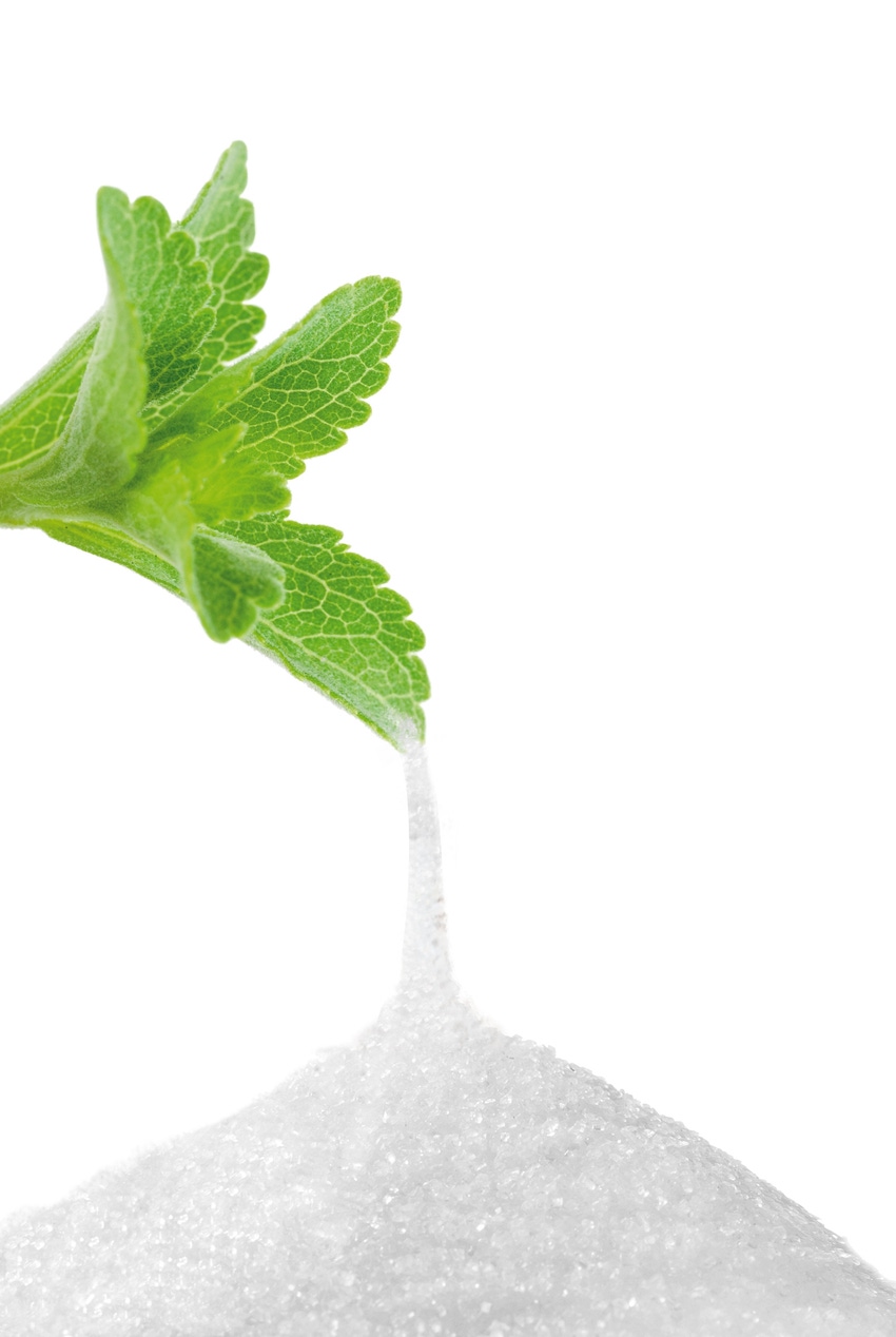 Stevia accounts for 25% of new global launches, up from 4% the previous year