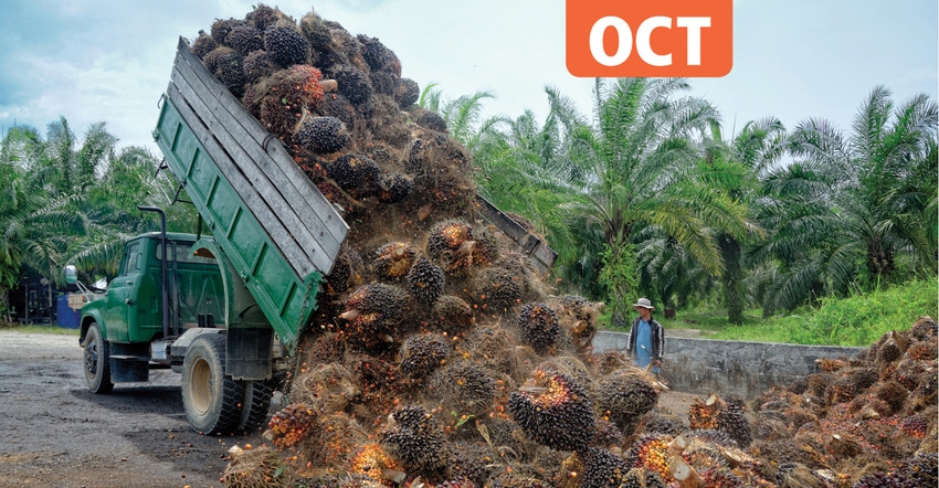 Palm oil cleans up
