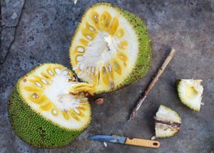 Is jackfruit the next hot clean-meat alternative?
