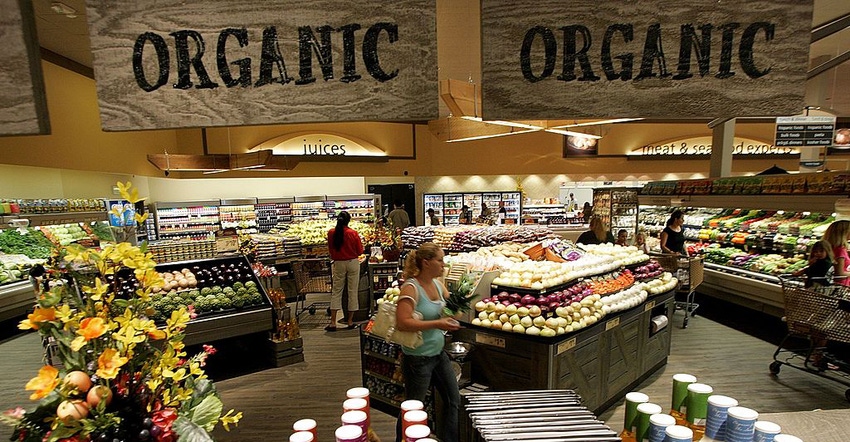 organic grocery