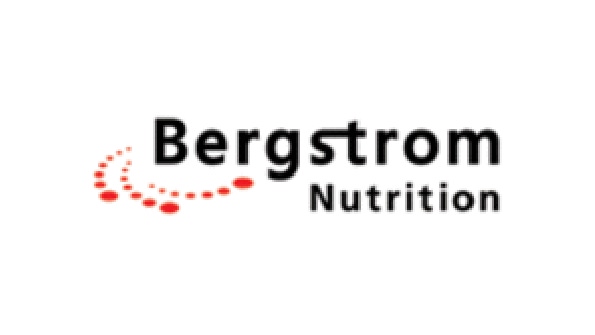 Bergstrom announces VP of sales and marketing