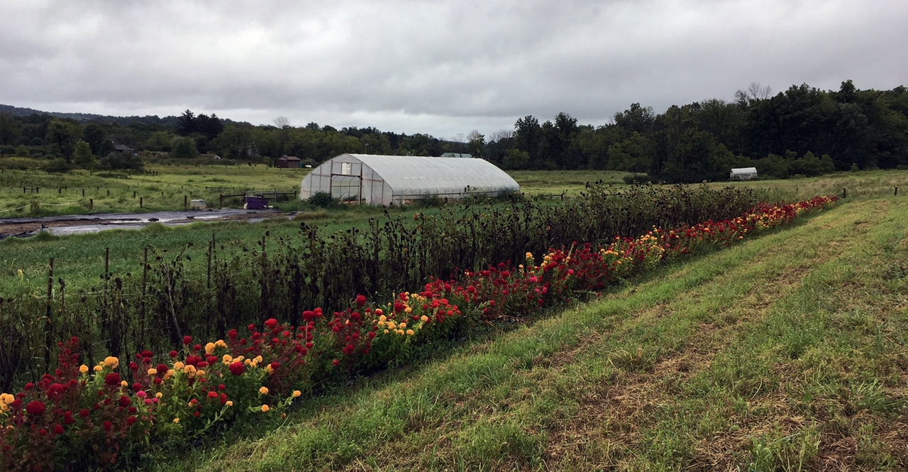 The Road to Natural: A tale of three farms