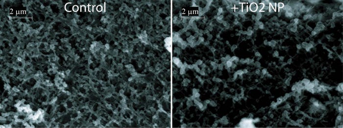 intestinal-cells-titanium-dioxide.jpg