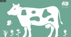 The grass-fed advantage: Elevating nutrition and flavor in dairy  The grass-fed advantage: Elevating nutrition and flavor in dairy