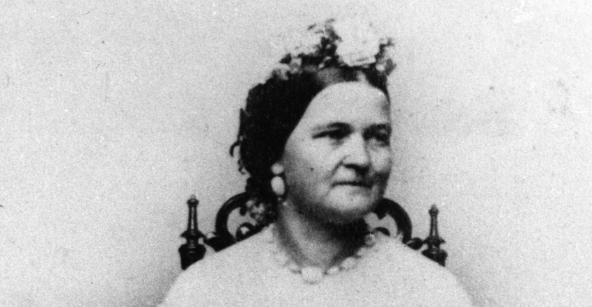 Did vitamin deficiency push Mary Todd Lincoln off the deep end?