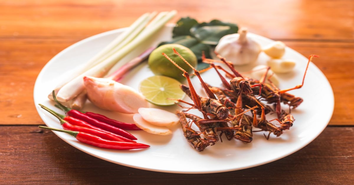 3 Edible Insects Edible insects: Two billion bug fans can't be wrong