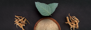 Sensoril Ashwagandha: harnessing the power of leaf and root - white paper