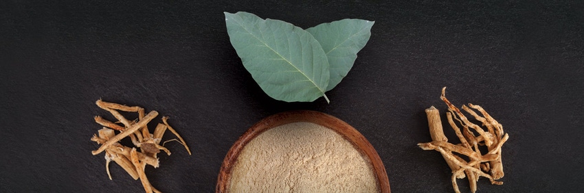 Sensoril Ashwagandha: harnessing the power of leaf and root - white paper