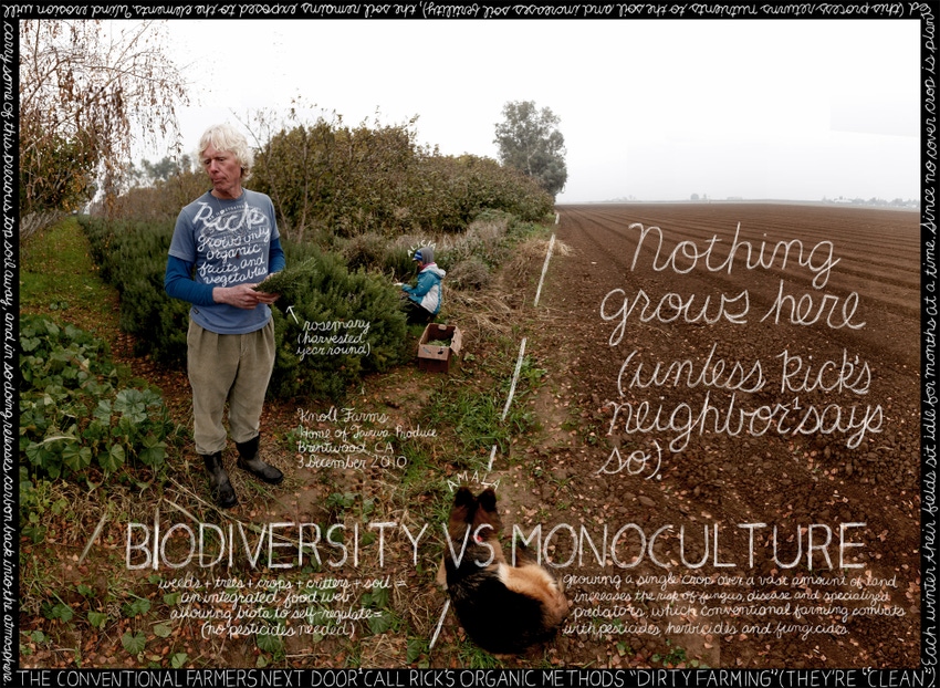 Watchword: Biodiversity