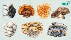 Functional mushrooms find their place in mainstream nutrition Functional mushrooms find their place in mainstream nutrition